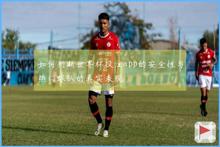 如何判断世界杯投注app的安全性与热门球队的真实表现