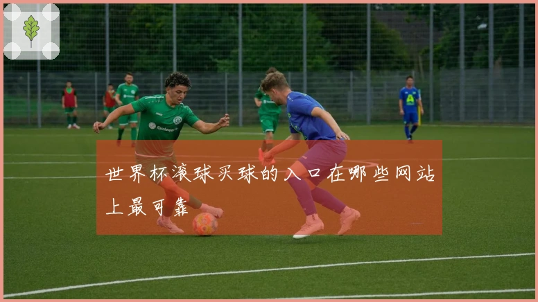 世界杯滚球买球的入口在哪些网站上最可靠