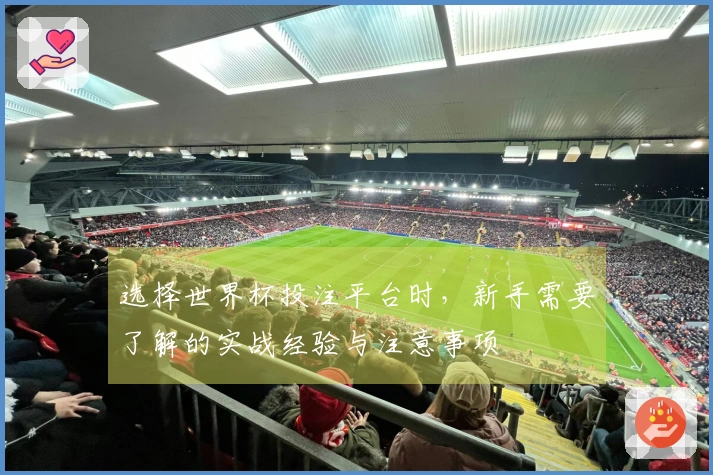 选择世界杯投注平台时，新手需要了解的实战经验与注意事项