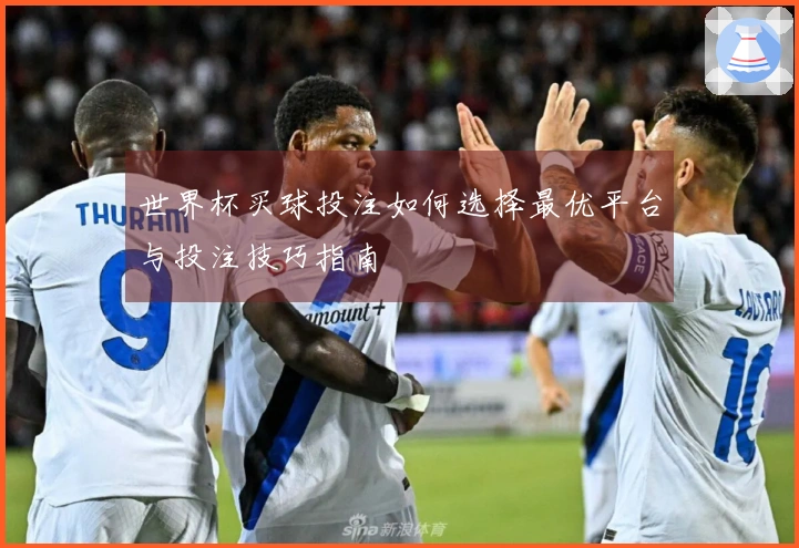 世界杯买球投注如何选择最优平台与投注技巧指南