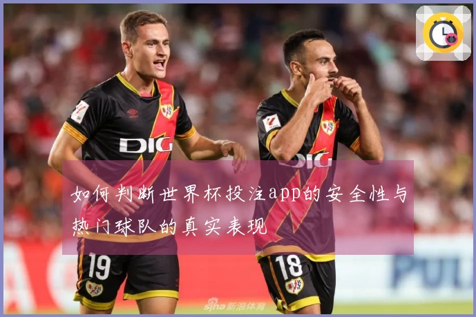 如何判断世界杯投注app的安全性与热门球队的真实表现