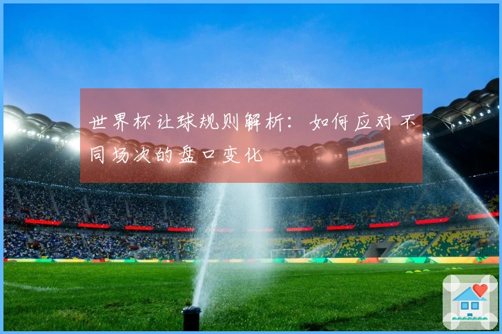 世界杯让球规则解析：如何应对不同场次的盘口变化