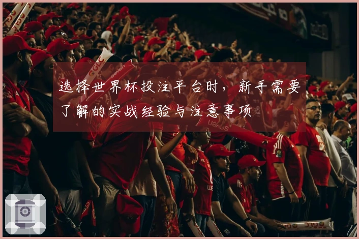 选择世界杯投注平台时，新手需要了解的实战经验与注意事项